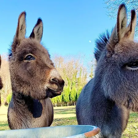 Feriehus Domaine Jean-got, Proche De Saint Emilion